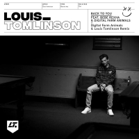 Back to You (Digital Farm Animals and Louis Tomlinson Remix)
