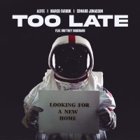 Too Late (Single)