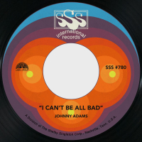 I Can't Be All Bad / In a Moment of Weakness (Single)
