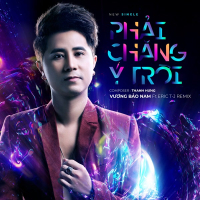 Phải Chăng Ý Trời (Remix) (Single)