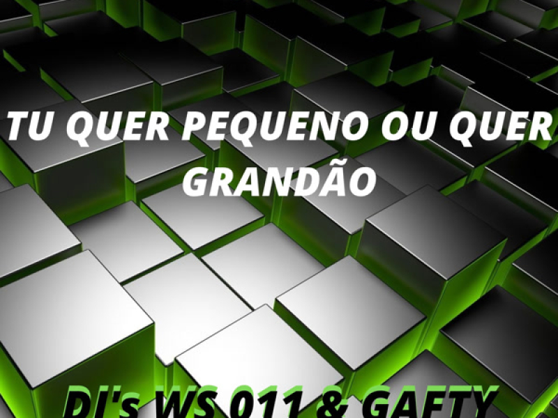 TU QUER PEQUENO OU QUER GRANDÃO (Single)