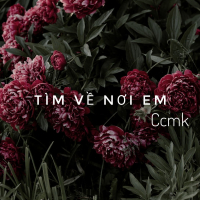 Tìm Về Nơi Em (Single)