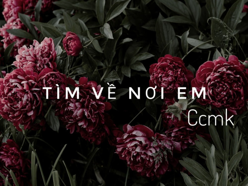 Tìm Về Nơi Em (Single)