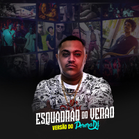 Esquadrão do Verão (Single)