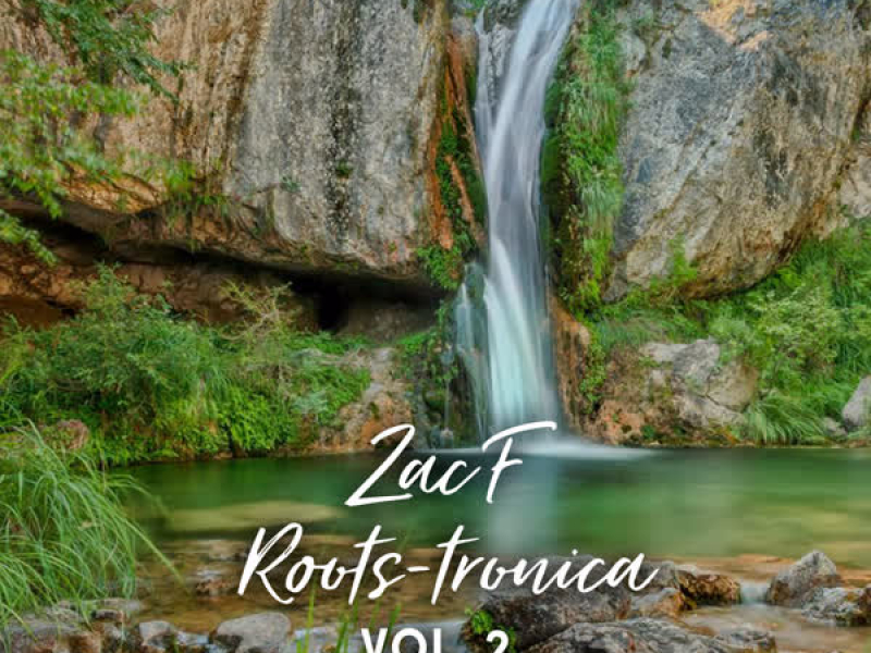 Roots-tronica Vol. 2 (EP)