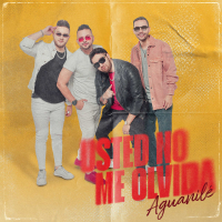 Usted No Me Olvida (Single)