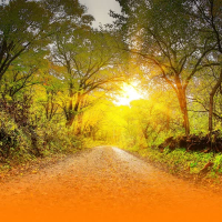 Instrumental Healing Music For Deep Relaxation And Stress Relief With Soothing Nature Sounds (Single)