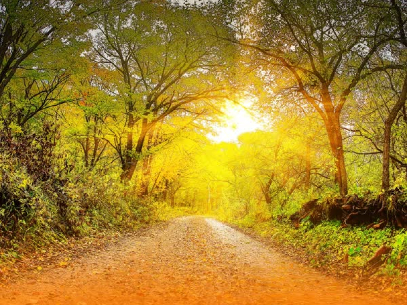 Instrumental Healing Music For Deep Relaxation And Stress Relief With Soothing Nature Sounds (Single)