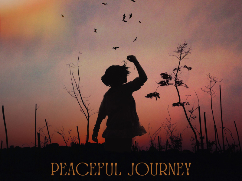 Peaceful Journey (Single)