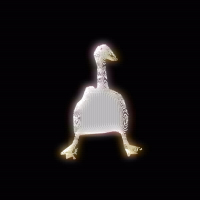 FLUFFING A DUCK PHONK (Single)