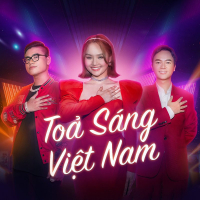 Tỏa Sáng Việt Nam (Single)