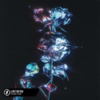 Lost On You (Single)