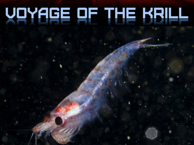Voyage of the Krill (Single)