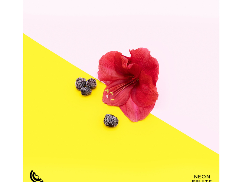 I'm the One (Single)