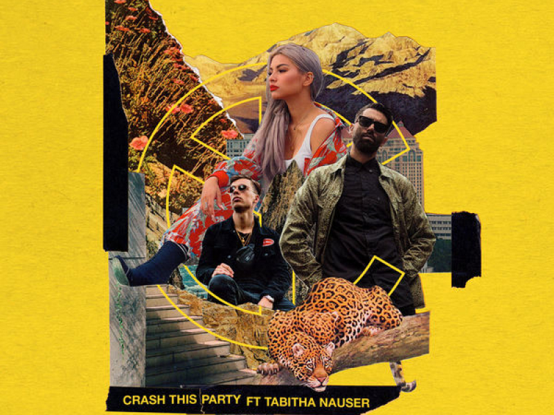 Crash This Party (Single)