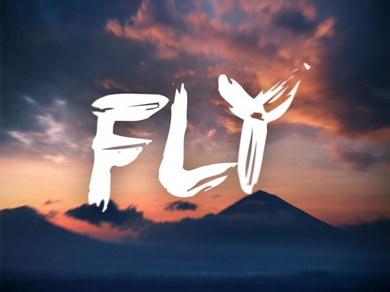 Fly (Single)