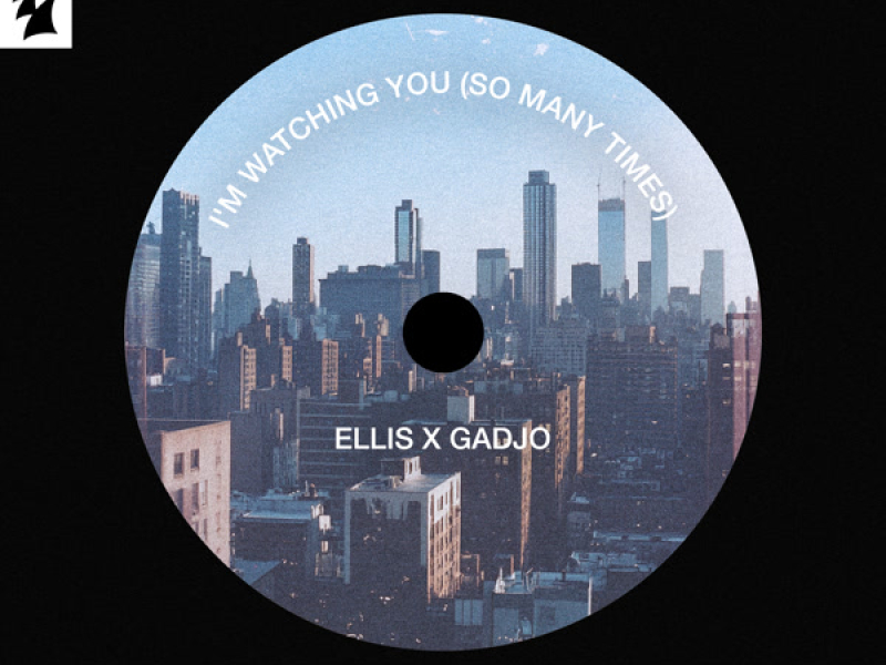 I'm Watching You (So Many Times) (Single)