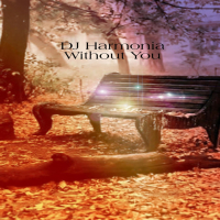 Without You (Single)