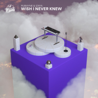 Wish I Never Knew (Single)