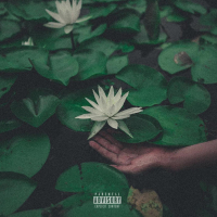 Bitch I'm Beautiful (Single)