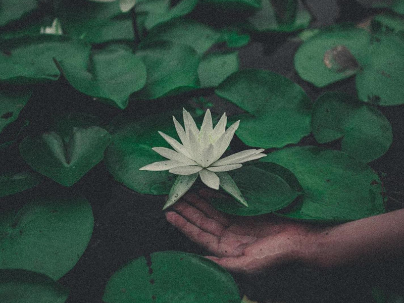 Bitch I'm Beautiful (Single)