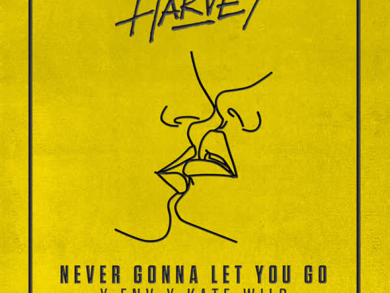 Never Gonna Let You Go (Dots Per Inch Remix)