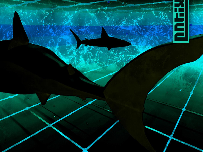 Rollin' Deep (Single)