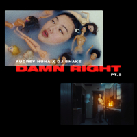 damn Right Pt. 2 (Single)