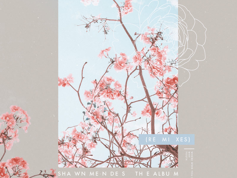 The Album (Remixes) (EP)