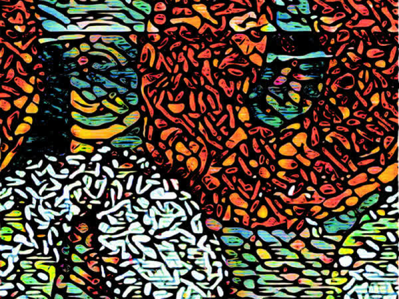 Maksimaalinen munkitus (Single)