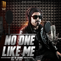 No One Like Me (Single)