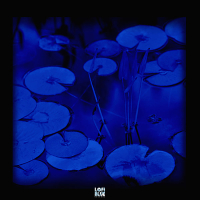 Aquatic Life (Single)