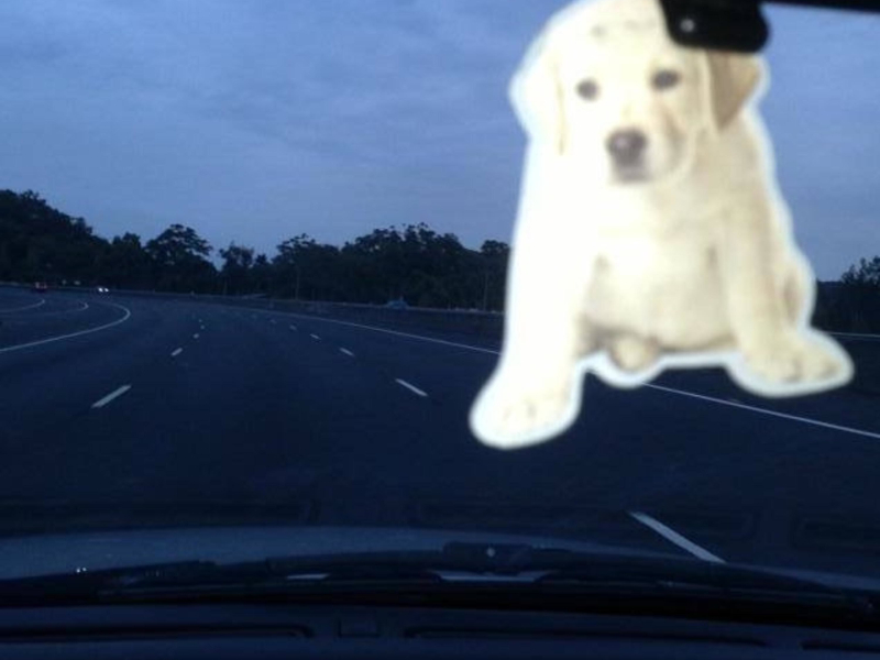 Desert Dog Rd (Single)