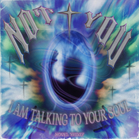 NOT YOU, I'm Talkin To Your Soul (EP)