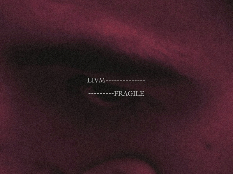 Fragile (Single)