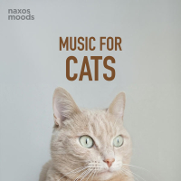 Music for Cats