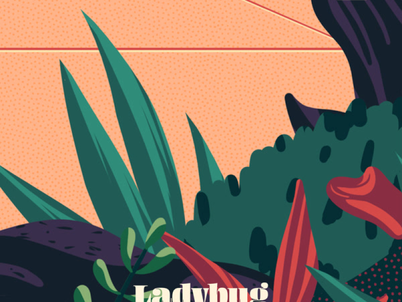 Ladybug (Single)