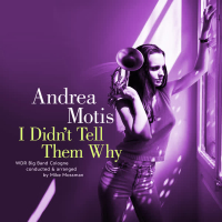 I Didn´t Tell Them Why (Single)