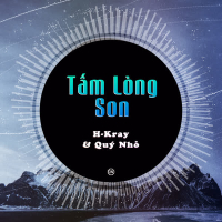 Tấm Lòng Son (Quý Nhỏ Remix) (Single)