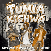 Tumia Kichwa (Single)