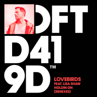 Holdin On (Remixes) (Single)