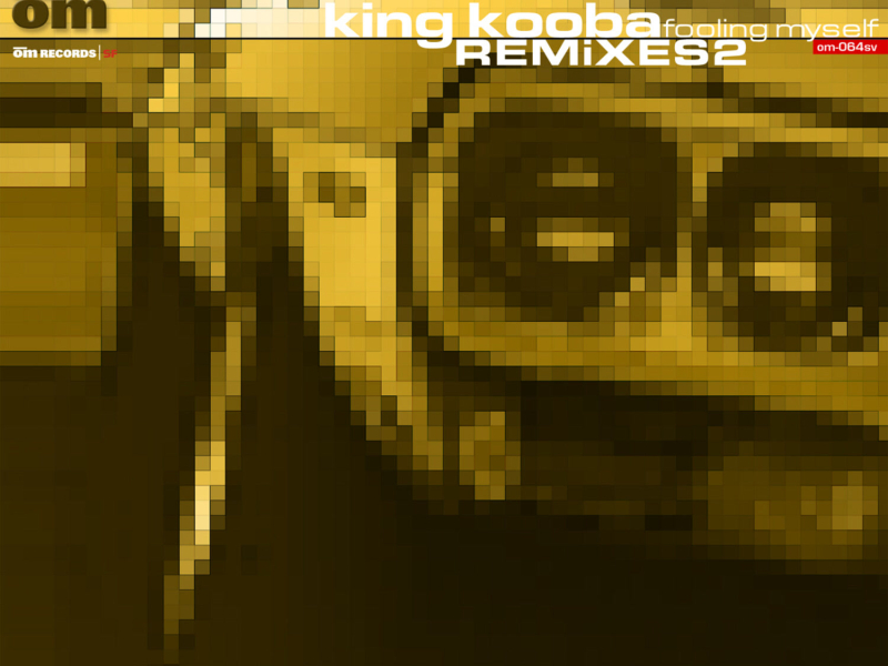 Fooling Myself Remixes 2
