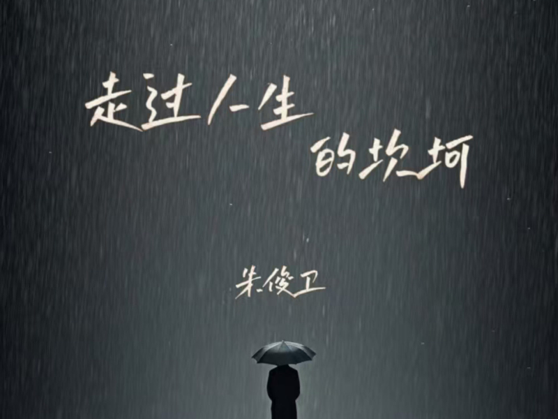 走过人生的坎坷 (Single)