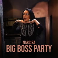 Big Boss Party (Single)
