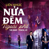 Liên khúc Nửa Đêm Ngoài Phố (Single)