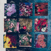 Dime Qué Vamos a Hacer (Single)