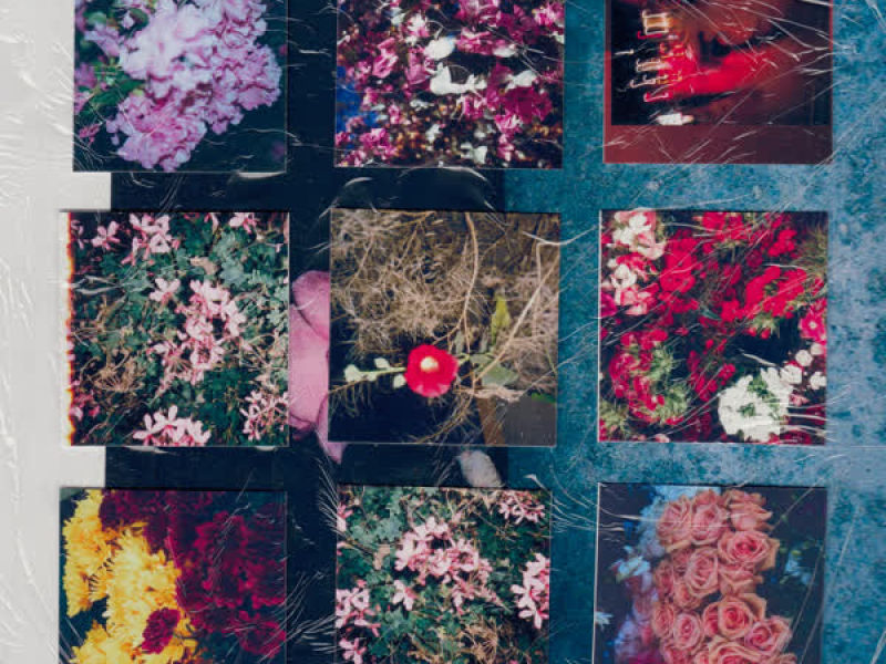 Dime Qué Vamos a Hacer (Single)