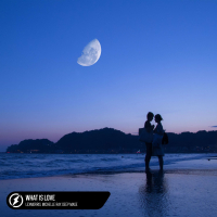 What Is Love (Single)