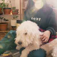 Cozy (EP)