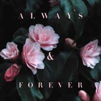 Always & Forever (Single)